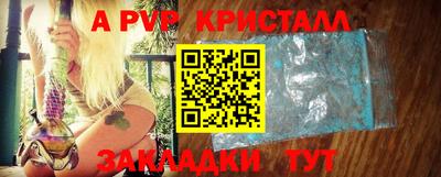 спиды Донской