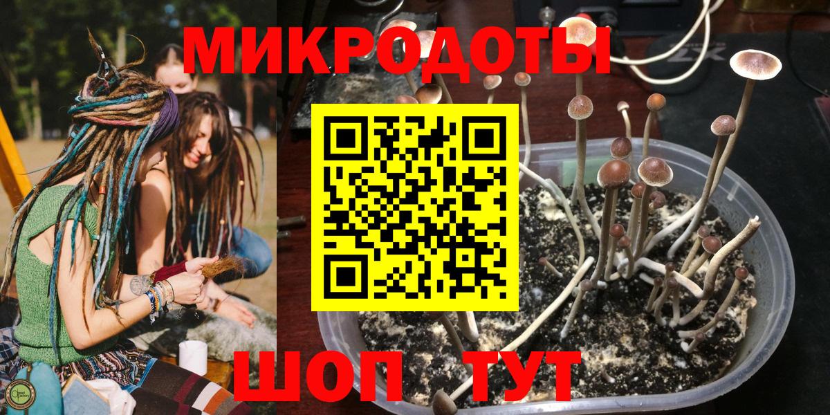 Псилоцибиновые грибы ЛСД Назрань