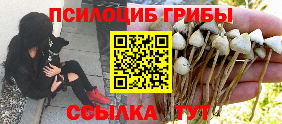 Галлюциногенные грибы Magic Shrooms  Вход с VPN  Назрань 